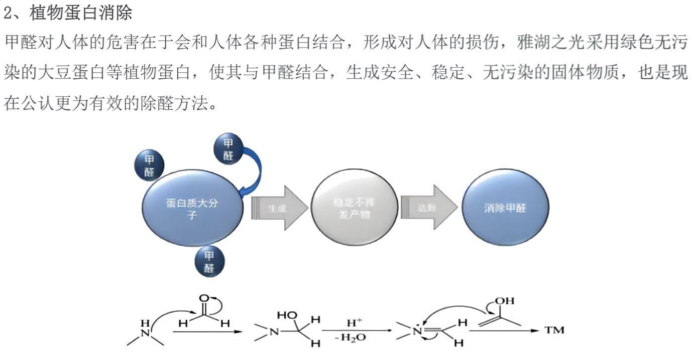 熊猫环保植物蛋白除甲醛方法原理示意图,讲解家庭场景温和除醛的技术逻辑